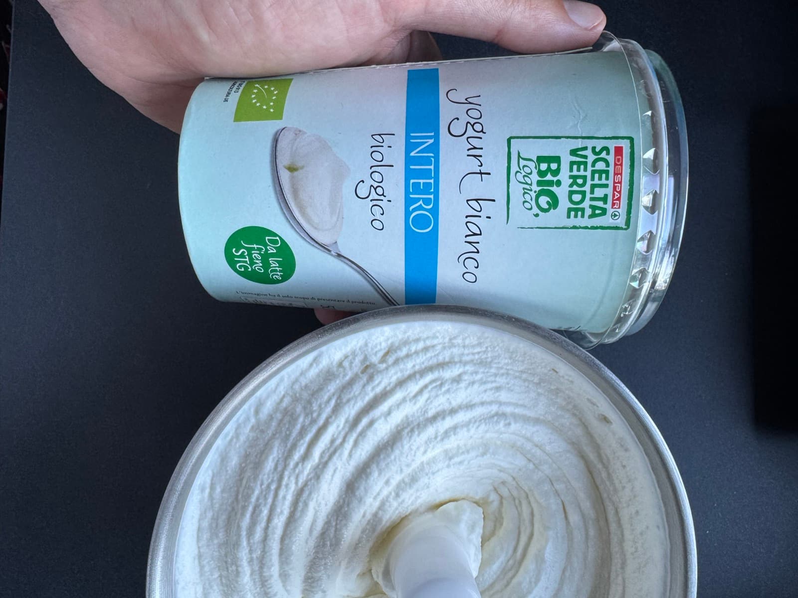 Gelato allo yogurt greco Bimby, senza cottura
